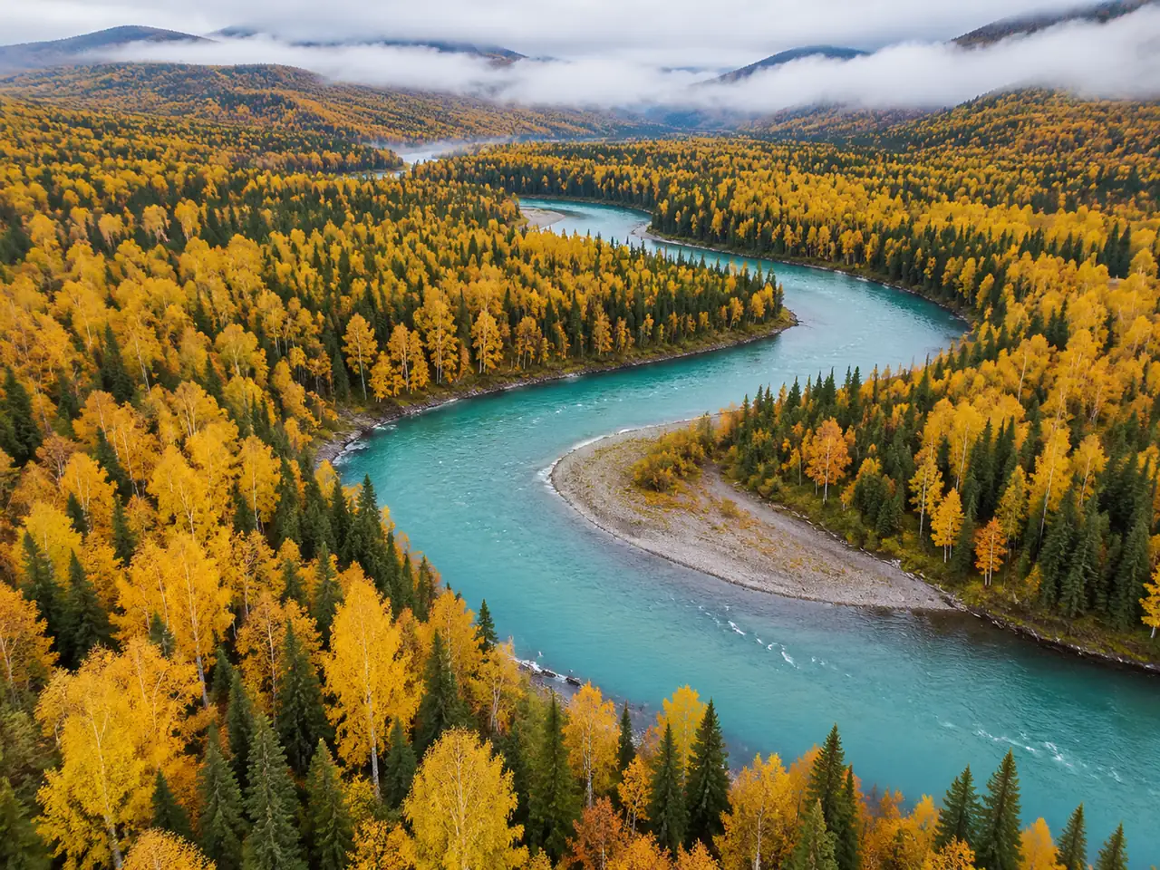 Aerial view of a turquoise river winding through a golden birch and spruce forest