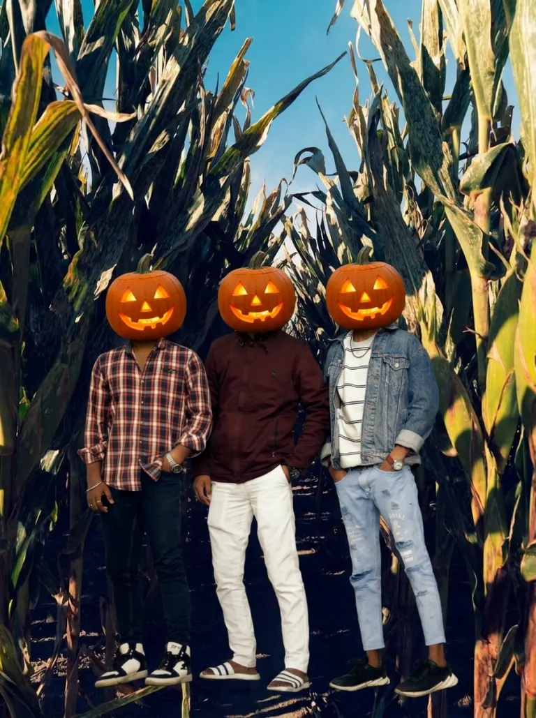 Cornfield