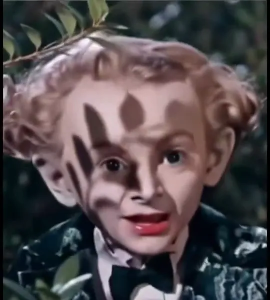 The tailcoat character peeks out from a leafy bush with leaf shadows across the face and a mischievous grin